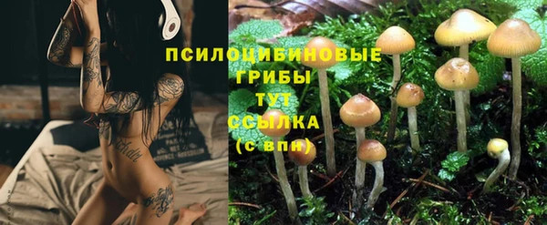 mdpv Липки